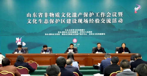 山東省非遺保護(hù)工作會(huì)議暨文化生態(tài)建設(shè)現(xiàn)場(chǎng)經(jīng)驗(yàn)交流活動(dòng)