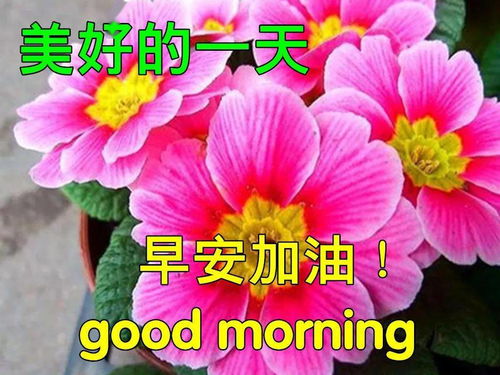 6月17日早上好動(dòng)態(tài)表情圖片大全,早晨好動(dòng)圖美圖大全