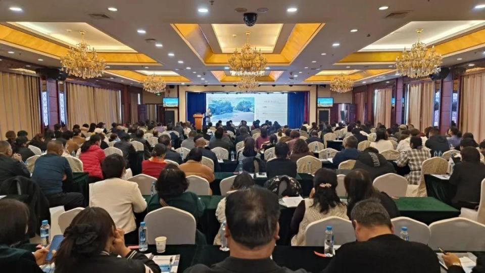 精彩2024 | 敦煌文化旅游綻放新光彩